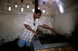 Agriculture;-Comoros-Archipelago;-France;-Indian-Ocean;-Kaleidos;-Kaleidos-images;-Know-how;-La-parole-à-limage;-Laurent-Abad;-Man;-Mayotte;-Processing;-Scalding;-Spice;-Stories-Pictures;-Vanilla